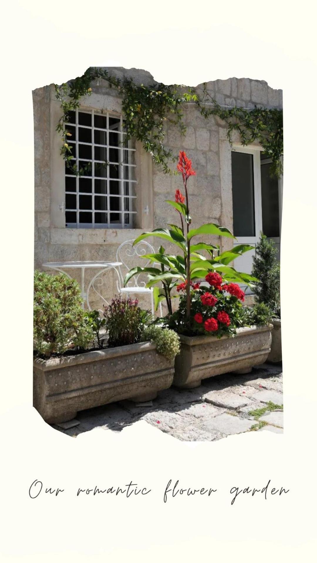 Apartments Visit Perast Eksteriør bilde